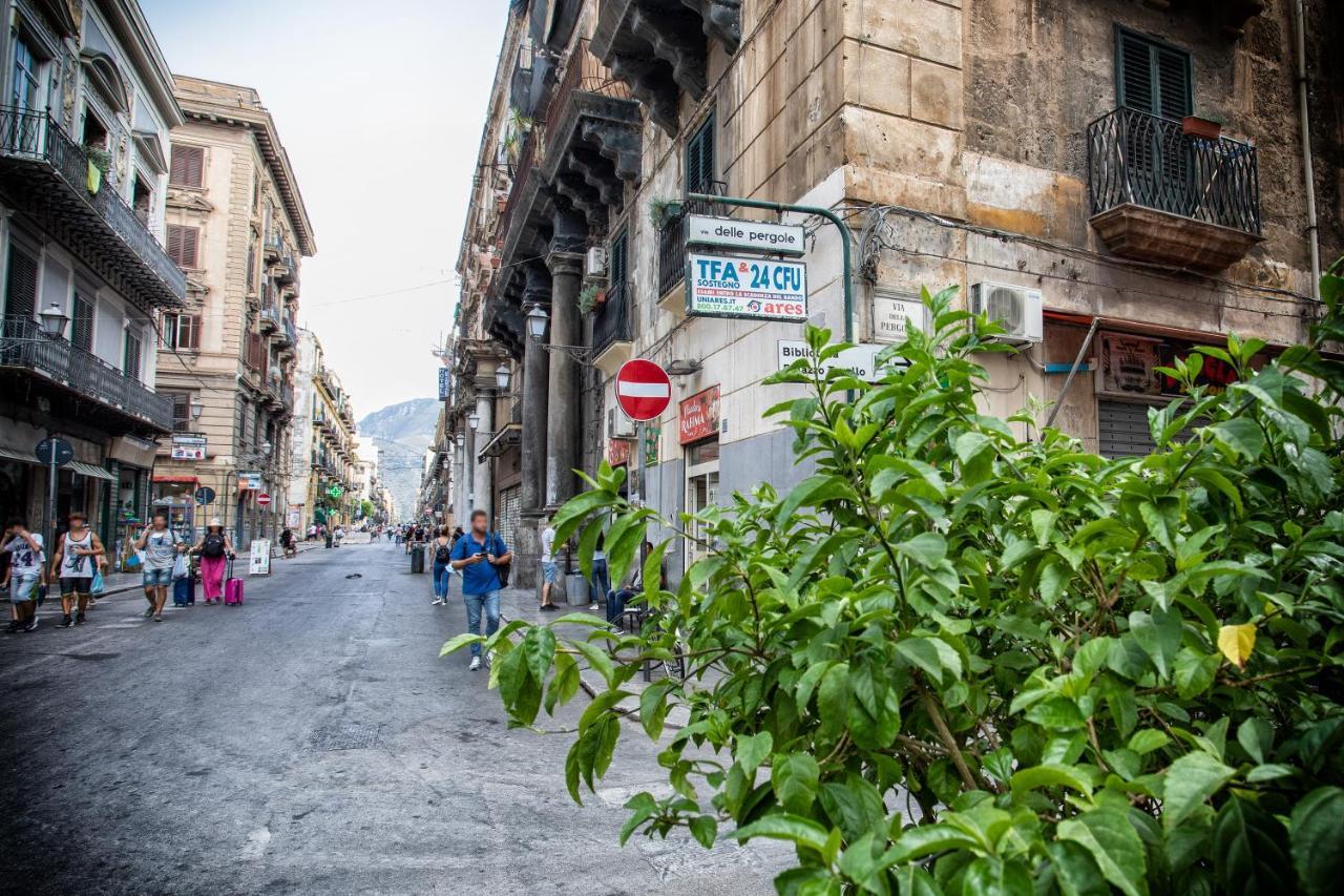 Apartment Sol&luna 1909 Tourist Location In Old Town Palermo